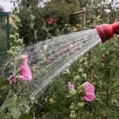 A hosepipe ban starts across Yorkshire on Friday, August 26