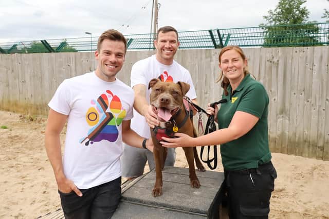 Keegan Hirst and Joel Wood meet five-year-old crossbreed Bailey and canine carer and adoption advisor Charlotte Freer at Dogs Trust Leeds