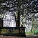 Explore Robin Hood's 'grave' hidden deep within a Kirklees forest.