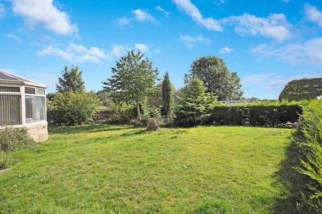 A garden area with mature trees and hedging.