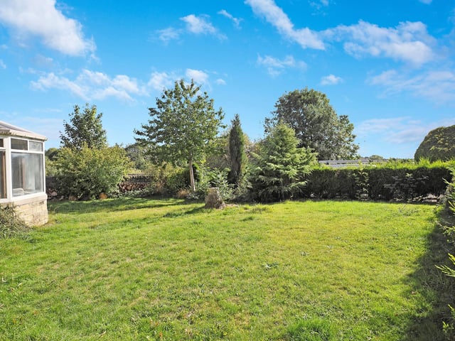 A garden area with mature trees and hedging.