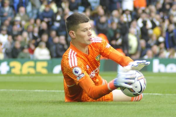 Illan Meslier kept a vital clean sheet in Leeds United's draw with Newcastle.