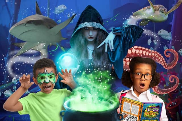 Immersive trail celebrating the creepiest creatures of the deep, with spell-casting sea witches, warlocks and plenty of trick or treat surprises