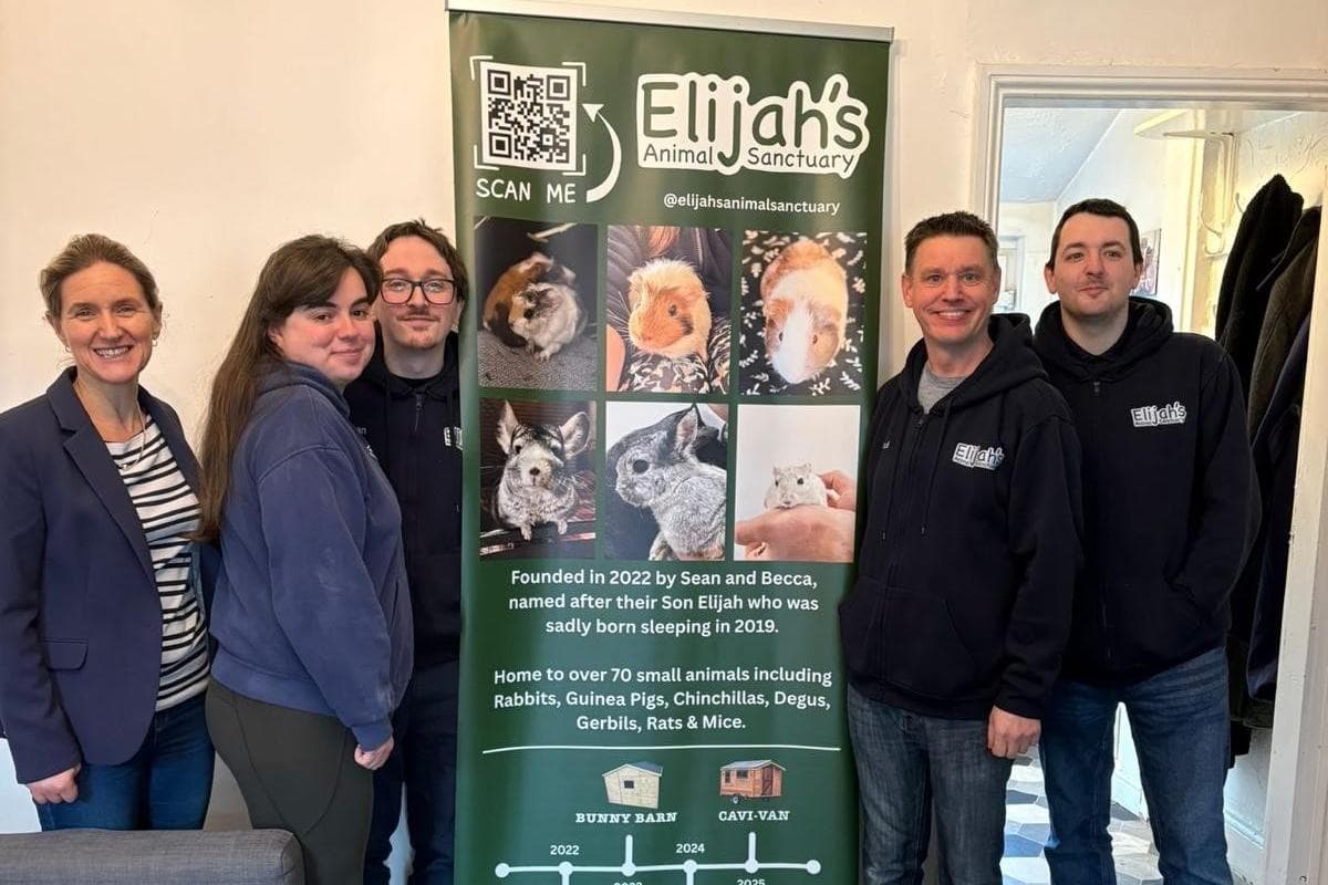 Tierheim in Mirfield als „wirklich besonderer Ort“ von Abgeordnetem gelobt ...