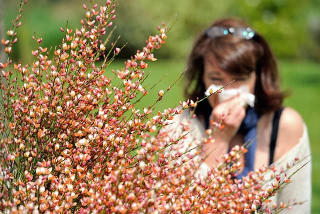 A woman blows her nose as the return of pleasant weather marks the arrival of allergenic pollen