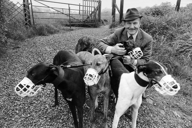 This is Jim Brown, a doyen of Northern greyhound trainers with an impressive record of successes, including more than 2,000 wins in May 1981.  Jim was a former Dewsbury Rugby League player and also owns a jewellery business in Dewsbury.