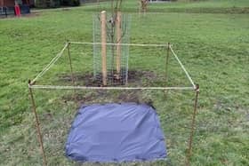 A tree planting ceremony, organised by the Rotary Club of Mirfield, to commemorate the coronation of King Charles III is set to take place in Ings Grove Park this weekend.