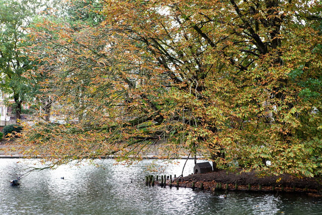 Wilton Park, where you can have a walk around its lake, looks glorious in the autumn.