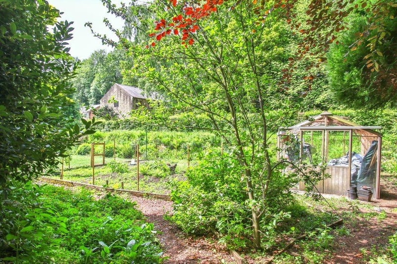 The garden has many varied elements, including an allotment and greenhouse, plus a chicken coop.