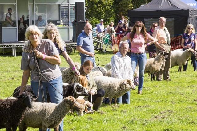 The immensely popular annual aggricultural and family fun day at the Mirfield Showground on Huddersfield Road is due to take place on Sunday, August 18.