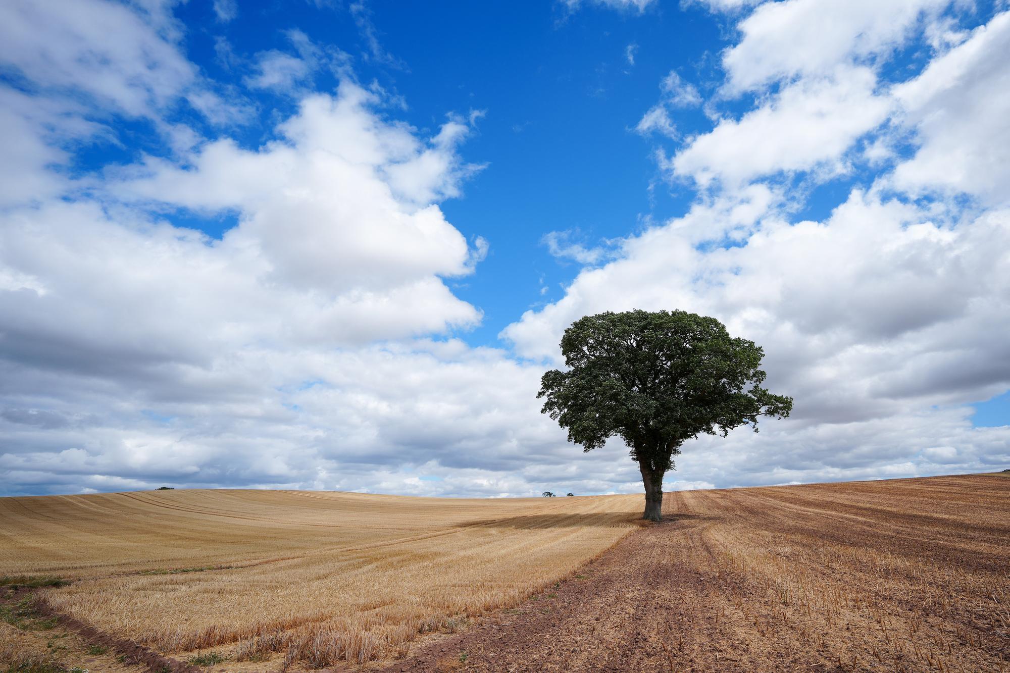Reform cabinet tables motion to scrap Kirklees' climate emergency ...