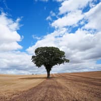 Reform cabinet tables motion to scrap Kirklees' climate emergency declaration and abolish scrutiny panel