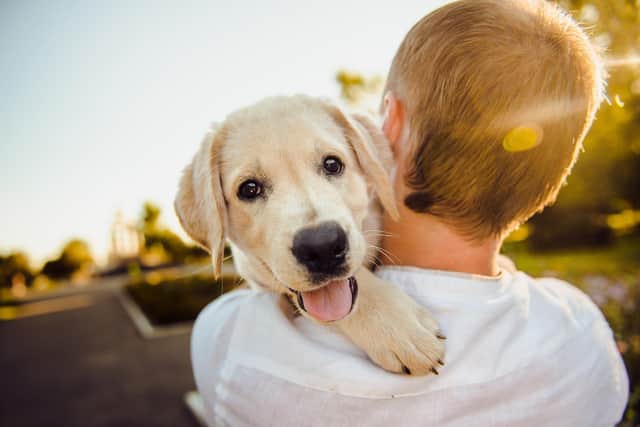 Consider how your pet feels in their new surroundings and how the change could impact on them.