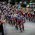 Riders in the Tour de France Femmes avec Zwift 2025. Photo: ASO/Pauline Ballet.