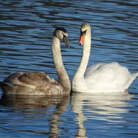Dewsbury Photographic Group's new season is in full swing as members submit entries for upcoming competitions