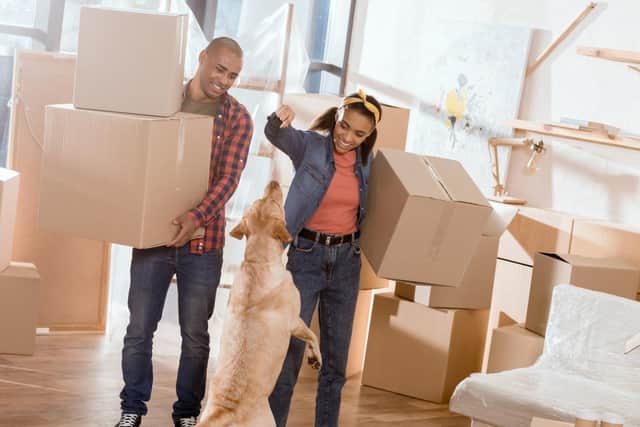 Plan early and stay as calm as possible throughout the whole moving process.