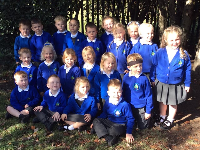 Battyeford Primary School - Kingfisher class.