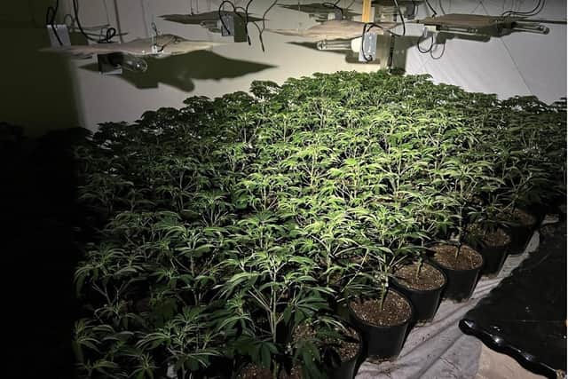 A cannabis farm discovered by West Yorkshire Police on Brighton Street last year