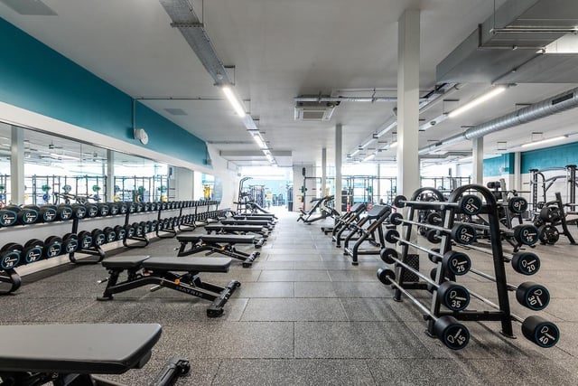 A functional zone, free weights area, fixed resistance, cardio equipment and a fitness studio