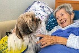 Chilli the puppy is 'lighting up the lives' of pupils and care home residents after qualifying as a Pets As Therapy (PAT) dog.