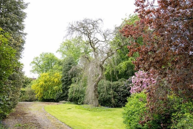 The gardens consist of a mixture of formal gardens, lawns, wooded areas adorned in Bluebells with some trees that are many centuries old, a tennis lawn, rockeries with ornate stone staircases, a brick walled fruit area, a croquet lawn to the south of the house and vegetable areas.