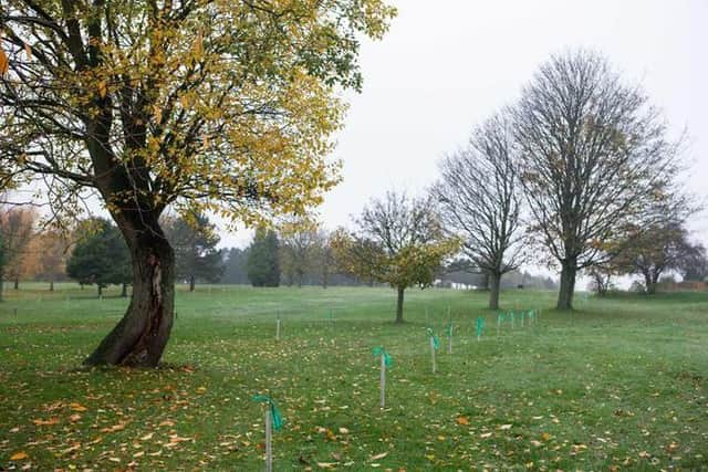Hanging Heaton Golf Club is swapping putting for planting in a bid to help the environment as the Woodlands Trust donates 420 trees to be planted around the course.