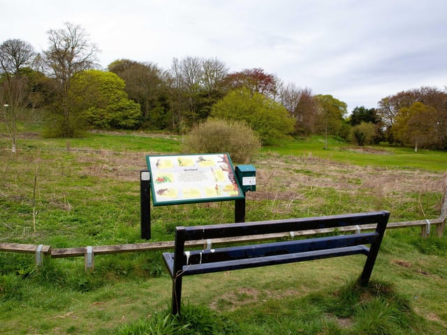 The Friends of Rectory Park will lead guided walks around the site in Thornhill on various dates. The park features a moated island where the ruins of Thornhill Hall - dating back to 1450 - still stand, despite its near destruction in 1648 during the English Civil War.