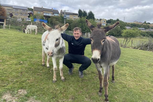 Josh with donkeys Leonard and Catherine.