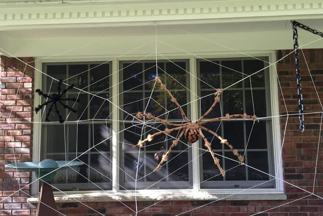 Be careful not to damage surfaces when attaching spooky decorations to walls and ceilings.