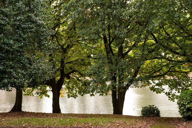 Early autumnal views around Wilton Park
