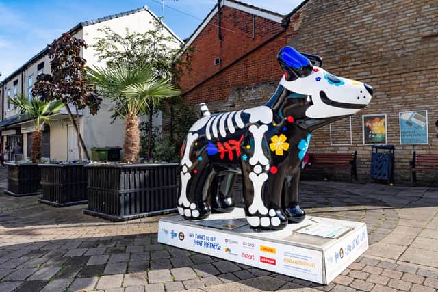 ‘Day of the Dog’ in Cleckheaton town centre.
