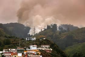 A wildfire rages out of control through forested slopes in La Matanza on the Canary island of Tenerife on August 19. Photo: Getty Images