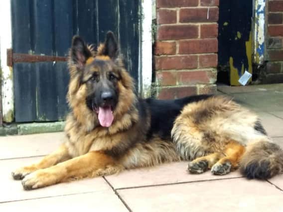 Kaiser the German shepherd is safely back at home with his family after his ordeal.