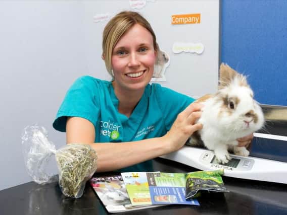 Veterinary nurse Sarah Ashlee tends to a rabbit at Calder Vets Dewsbury practice