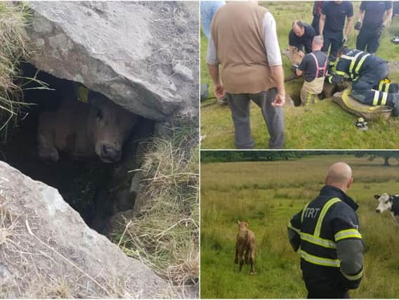 pictures of the rescue by West Yorkshire Fire and rescue Service
