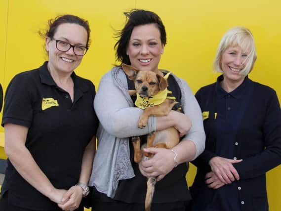 MP Paula Sherriff will team up with a Dogs Trust resident in the Westminster competition