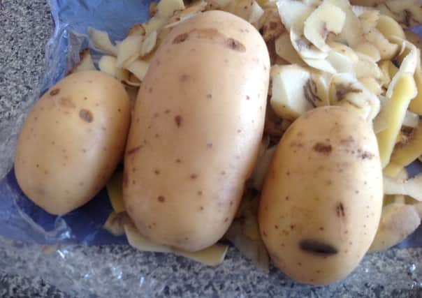Potato family readers pic by Seb Pawson