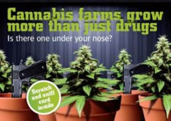 SMELLY SOLUTION: The cards offer tips on how to spot a cannabis factory.