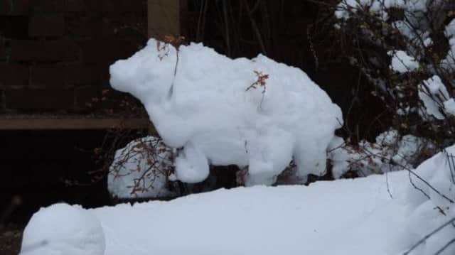 JEFF STAVELEY Snow sheep in Birstall