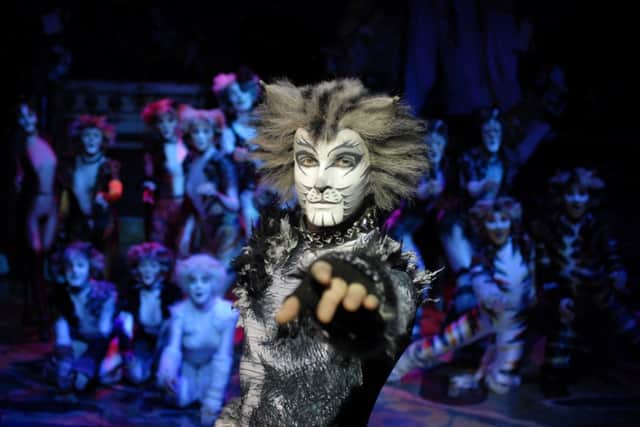 Cats is coming to the Alhambra.