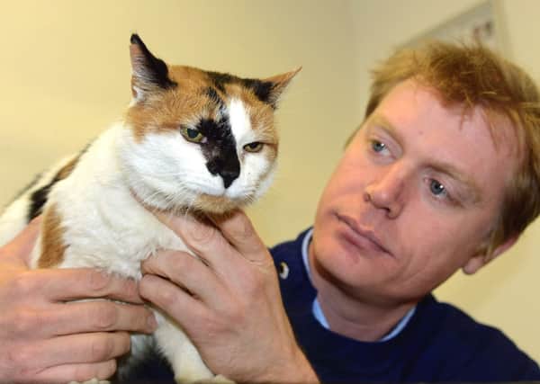 Vet Andrew Arnold with Josephine the cat at  Donaldson Vets.  (d615a315)