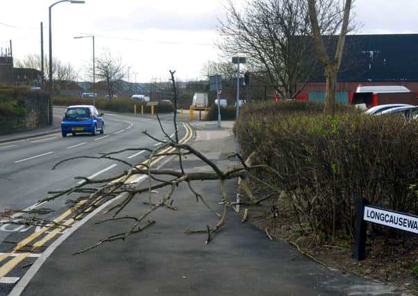 A tree has blown down on Longcauseway in Dewsbury due to the high winds. (D542B316)