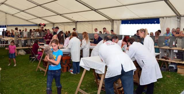 DECISION DELAY: Mirfield Town Council has said it needs more time to work out how much money it can contribute to the cost of the marquee at this years Mirfield Show, which takes place Sunday August 18. (d779m234)