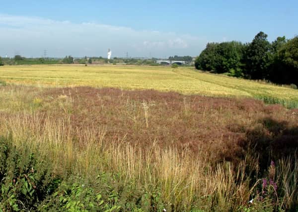 EXCAVATION PLAN Fields in Thornhill Lees are set to be used for anew quarry which will eventually be turned into a nature reserve with fishing lakes.