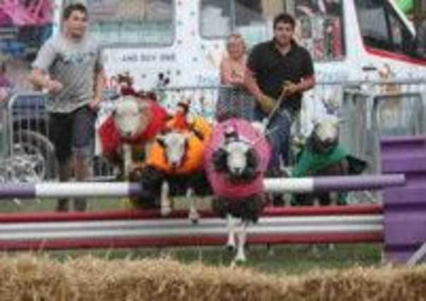 RACING AHEAD Agricultural entertainer Bob Hogg will be staging The Lamb National at this year's Mirfield Show.