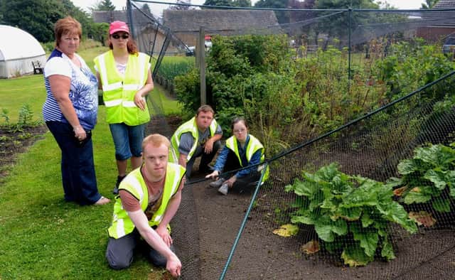 Ben Porritt, Sarah Walsworth, Stuart Lunn, Kate Goode and director Bev Sissons with the damage in the Northorpe Hall gardens. (d611a329)