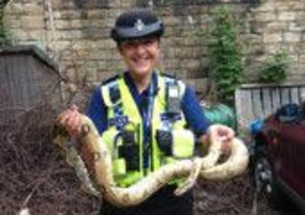 PCSO Sanda Beaumont with one of the snakes caught in Batley.