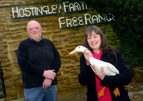 What was thought to be a goose has been saved from the chop this Christmas. A white indian runner duck was found among the geese at Hostingley farm. A friend of the farm (Dawn Hinton) is going to look after the bird at her home. Dawn with 'Lucky' and Tim Lindley. (D553C350)