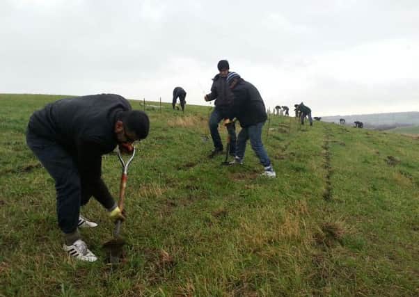 GREEN TEAM Ahmadiyya Muslim Youth Association members are returning to Dewsbury Country Park this weekend to plant more trees.