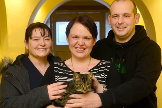 Cookie the cat which appears to have hitched a ride from Swansea to the Gomersal Park Hotel. Stacey Webster (Middle - From GPH) joins Samantha and Andrew Buchanan with Cookie. (D543K401)